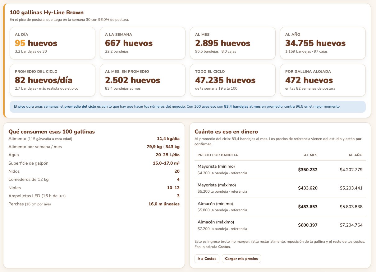 Resumen de la proyección: huevos, bandejas, alimento e ingresos de un lote de 100 gallinas